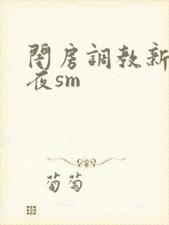 闺房调教新婚之夜sm
