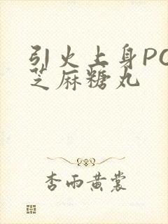 引火上身POP芝麻糖丸