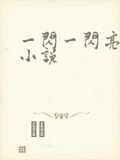 一闪一闪亮星星小说