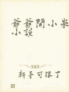 爷爷开小米的包小说