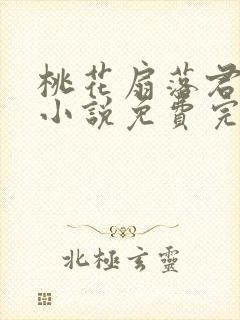 桃花扇落君不还小说免费完整版