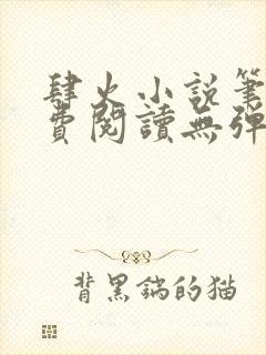 肆火小说笔趣免费阅读无弹窗