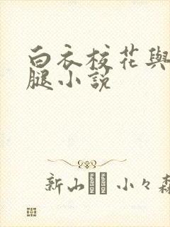 白衣校花与大长腿小说