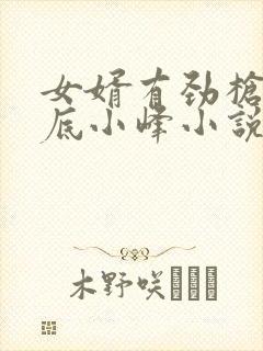 女婿有劲枪枪到底小峰小说