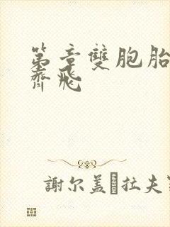 第章双胞胎姐妹齐飞