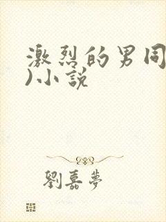 激烈的男同(h)小说