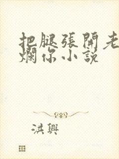 把腿张开老子臊烂你小说