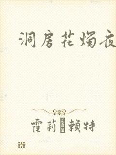 洞房花烛夜小说