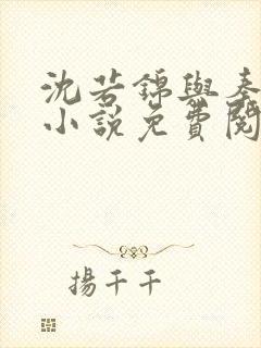 沈若锦与秦琅的小说免费阅读