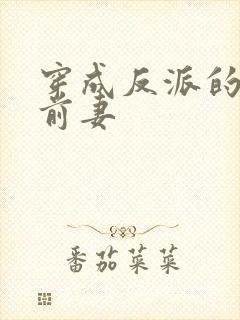 穿成反派的炮灰前妻