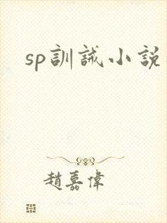sp训诫小说