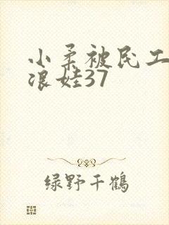 小柔被民工玩成浪娃37