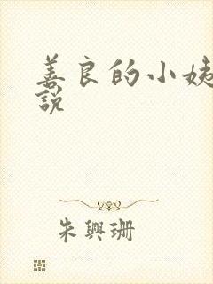 善良的小姨子小说