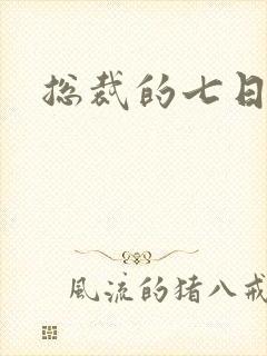 总裁的七日索情