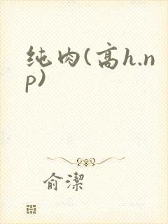 纯肉(高h.np)