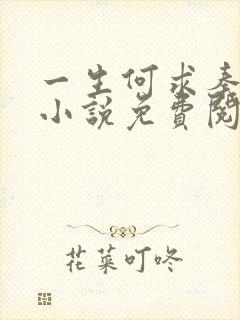 一生何求秦菲雪小说免费阅读