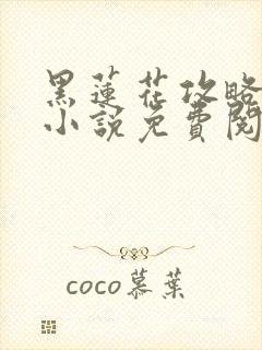 黑莲花攻略手册小说免费阅读全文