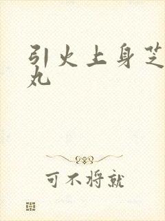 引火上身芝麻糖丸