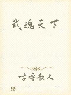 武魂天下