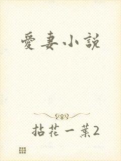 爱妻小说