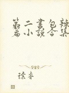 第二书包辣网短篇小说合集