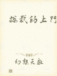 总裁的上门女婿