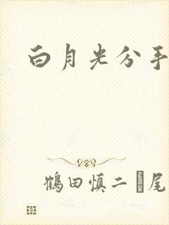 白月光分手日常