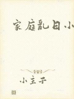 家庭乱日小说