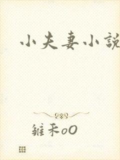 小夫妻小说