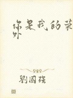 你是我的荣耀番外