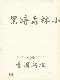 黑暗森林小说