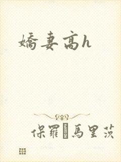娇妻高h