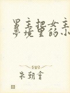 男主把女主拖进梦境里的小说