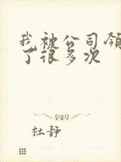 我被公司领导C了很多次