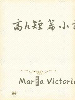 高h短篇小说