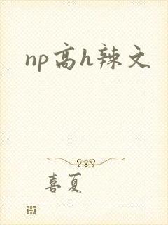 np高h辣文