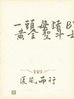 一头母猪 BY 黄金圣斗士