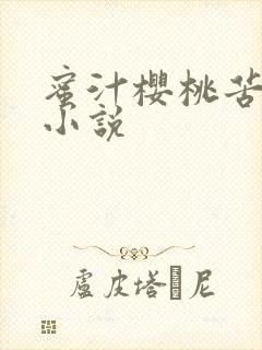 蜜汁樱桃苦咖啡小说