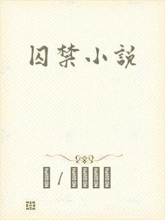 囚禁小说