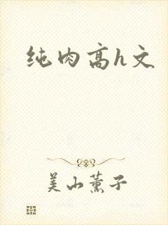纯肉高h文