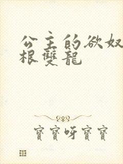 公主的欲奴h四根双龙