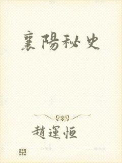 襄阳秘史
