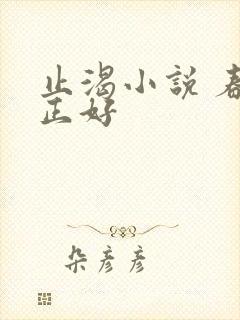 止渴小说 春光正好