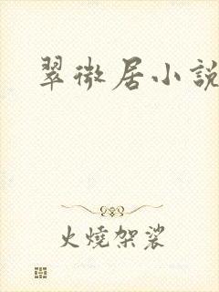 翠微居小说