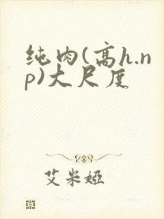 纯肉(高h.np)大尺度