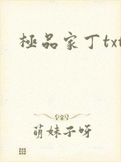 极品家丁txt
