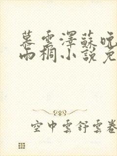 慕云泽苏晚晴夏雨桐小说免费阅读