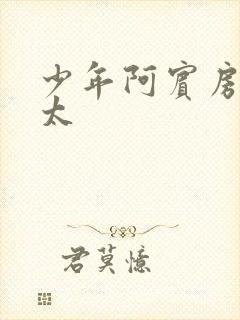 少年阿宾房东太太