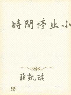 时间停止小说