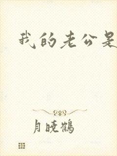 我的老公是军阀